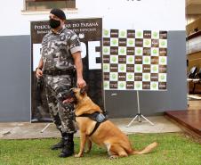 Cães de faro do BOPE se aposentam após 9 anos de atuação pelo BOPE; animais apreenderam mais de 2 toneladas de drogas