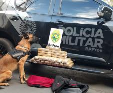 BPFron apreende mais de 5,4 toneladas de maconha e duplica apreensões de maconha no primeiro quadrimestre deste ano