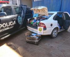 No Oeste do estado, BPFron apreende carga de cigarros e eletrônicos contrabandeados do Paraguai