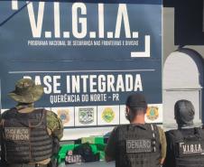 PM e Polícia Civil verificam denúncia sobre tráfico de drogas e apreendem maconha em Querência do Norte (PR)