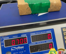 BPRv prende homem que transportava 700 gramas de maconha dentro de urso de pelúcia no Noroeste do estado
