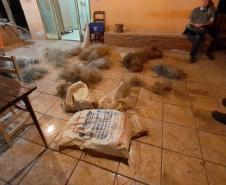 Polícia Ambiental faz operação no Norte do estado e apreende 300 metros de redes de pesca