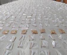 Batalhão de Guarda e BOPE deflagram operação contra o tráfico de drogas em Piraquara (PR); dois envolvidos são presos