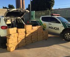 Denúncia leva policiais ambientais a apreender mais de meia tonelada de maconha em Umuarama