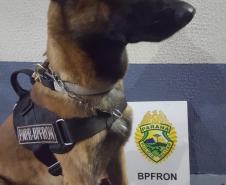 BPFron apreende 29 quilos de maconha, crack e materiais contrabandeados no Oeste do estado
