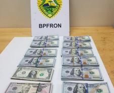 BPFron apreende 117 quilos de maconha e U$ 50 mil em notas no Oeste do estado