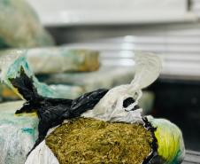 BPRv apreende mais de 15 quilos de maconha durante abordagem a ônibus de viagem em Cruzeiro do Oeste (PR)