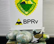 BPRv apreende mais de 15 quilos de maconha durante abordagem a ônibus de viagem em Cruzeiro do Oeste (PR)