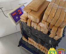 BPRv apreende carga de maconha avaliada em R$ 200 mil no Noroeste do estado