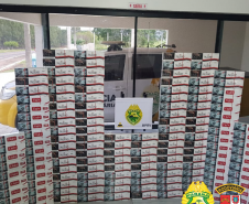 BPRv apreende 19 mil maços de cigarros contrabandeados no Oeste do estado