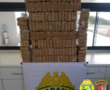BPRv apreende carga de maconha avaliada em R$ 200 mil no Noroeste do estado