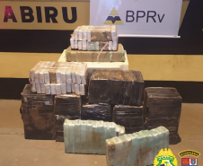 BPRv apreende 190 quilos de maconha e recupera carro roubado no Noroeste do estado