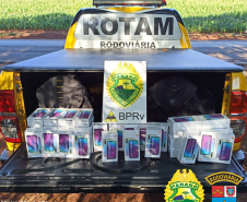 BPRv apreende 57 celulares contrabandeados em situações distintas em Cascavel e Londrina (PR)