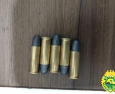 Nos Campos Gerais, PM apreende três armas de fogo em um dia