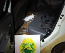 Durante feriado de Corpus Christi, BPRv retira de circulação mais de R$ 500 mil em maconha no Paraná
