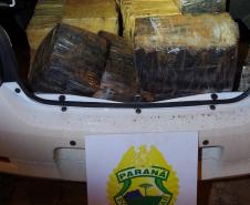 Taxi com 260 quilos de maconha é interceptado pelo BPRv no Norte do PR