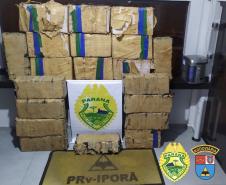 BPRv apreende mais de meia tonelada de maconha no Noroeste do estado