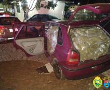 PM apreende 250 quilos de maconha e duas armas de fogo no Oeste do estado