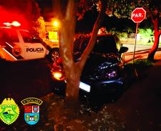 PM apreende mais de 200 quilos de maconha em São Carlos do Ivaí, no Noroeste do estado