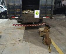 BPFron encontra mais de meia tonelada de maconha em carga de esterco no Noroeste do estado