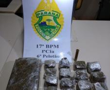 Denúncia leva policiais militares a apreender mudas e maconha pronta para a venda em Tijucas do Sul, na RMC