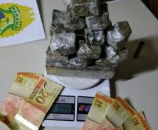 Denúncia leva policiais militares a apreender mudas e maconha pronta para a venda em Tijucas do Sul, na RMC
