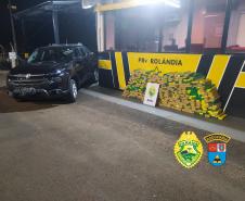 Com duas apreensões, Batalhão Rodoviário apreende mais de 700 quilos de maconha no Interior do estado