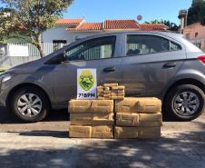 Batalhão do Noroeste do estado apreende 135 quilos de maconha em ação na cidade de Moreira Sales