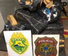Equipes da Operação Hórus apreendem 300 quilos de maconha em Guaíra (PR)