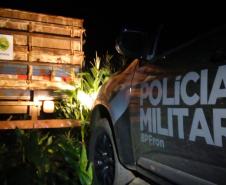 BPFron causa prejuízo de R$ 2,2 milhões a contrabandistas com apreensão de cigarros no Oeste do estado