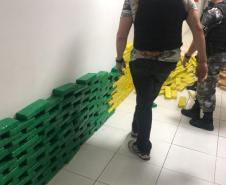 Quase meia tonelada de maconha é encontrada pelo BOPE em Fazenda Rio Grande, na RMC