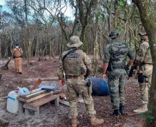 Reforço da presença da PM na Ilha do Mel inibe tráfico de drogas e invasão de áreas de proteção ambiental