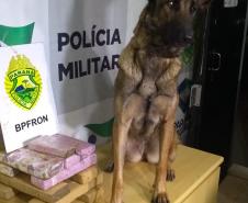 Mais de 14 quilos de maconha são apreendidos pelo BPFron durante a Operação Metrópolis