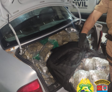 Polícias do Paraná apreendem 70 toneladas a mais de drogas no primeiro semestre
