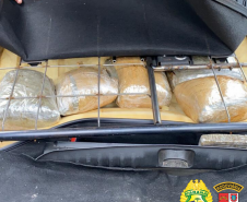 PRE apreende 20 quilos de skunk e 150 quilos de maconha o Interior do estado durante o fim de semana