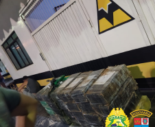 Polícias do Paraná apreendem 70 toneladas a mais de drogas no primeiro semestre