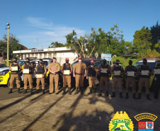 BPRv aplica nivelamento para Canil em Jacarezinho, no Norte do estado