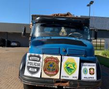 BOPE e BPFron flagram contrabando e apreendem R$ 4 milhões em cigarros em Guaíra, no Oeste do estado