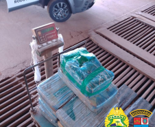 Homem foge de fiscalização da PRE e abandona carro com mais de 190 quilos de maconha no Oeste do PR