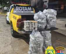 Polícias do Paraná apreendem 70 toneladas a mais de drogas no primeiro semestre