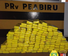 PRE apreende 20 quilos de skunk e 150 quilos de maconha o Interior do estado durante o fim de semana