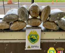 PRE apreende 20 quilos de skunk e 150 quilos de maconha o Interior do estado durante o fim de semana