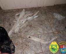 Nos Campos Gerais, PM encontra artefatos explosivos e miguelitos após denúncia anônima