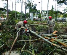 Efeitos do ciclone sobre o Paraná mobilizam Corpo de Bombeiros