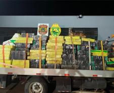 Polícias do Paraná apreendem 70 toneladas a mais de drogas no primeiro semestre
