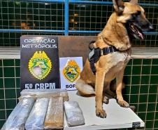 BOPE prende mulher e apreende quase sete quilos de maconha durante Operação Metrópolis