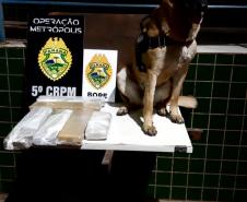 BOPE prende mulher e apreende quase sete quilos de maconha durante Operação Metrópolis