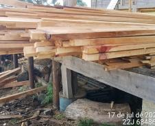 Na RMC e no Interior, Batalhão Ambiental flagra desmatamento ilegal