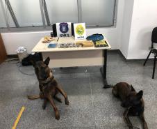 BOPE prende quatro pessoas e apreende arma de fogo e drogas na Região Metropolitana de Curitiba (RMC)