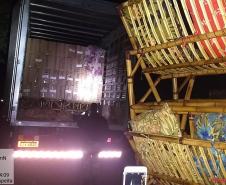 Polícia Ambiental apreende 550 caixas de cigarros, um caminhão e dois veículos no Noroeste do estado